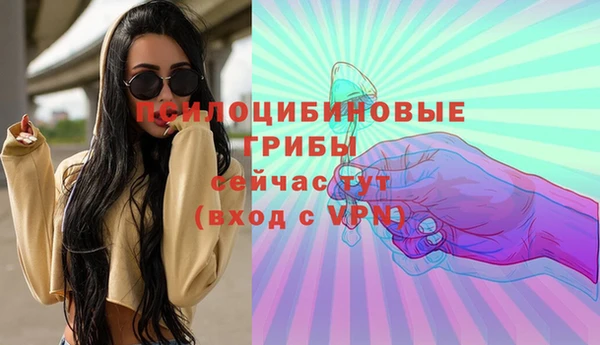 спиды Заводоуковск