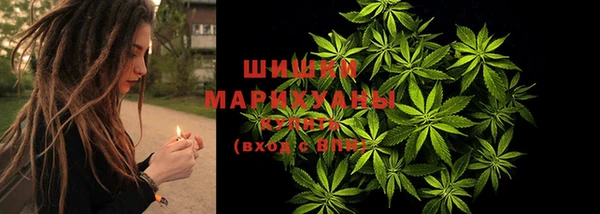 спиды Заводоуковск