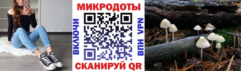 дарк нет какой сайт  Зубцов  Галлюциногенные грибы мухоморы 